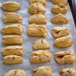 phoca_thumb_m_zajci peou 43 Fotogalerie